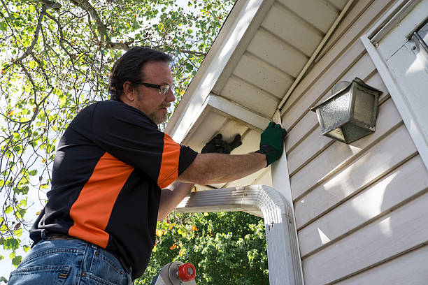 Affordable Siding Repair and Maintenance Services in La Grange Park, IL